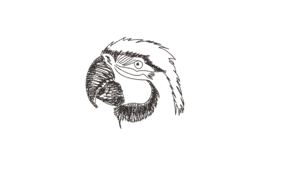 Reviewing the Cute Bird Face Embroidery Design